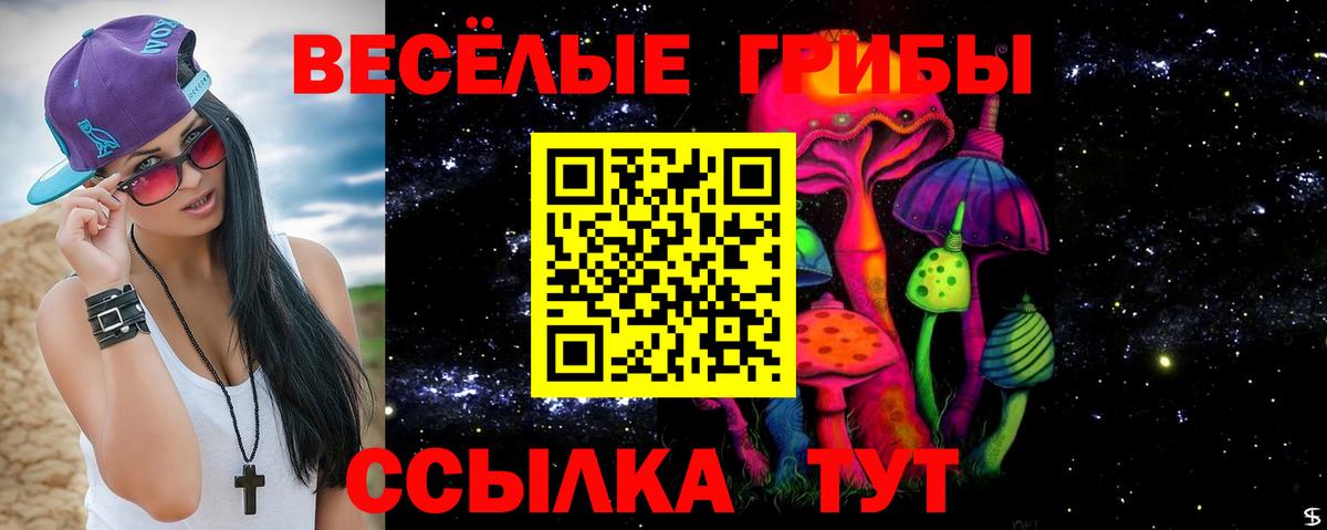 Волгодонск  Галлюциногенные грибы Magic Shrooms  Вход с VPN  Псилоцибиновые грибы Psilocybine cubensis 